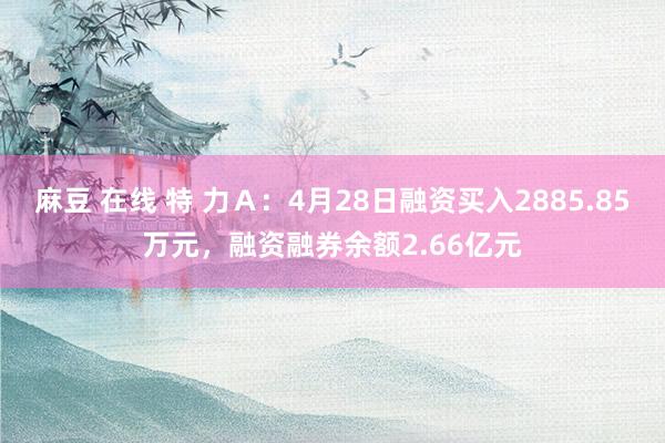 麻豆 在线 特 力Ａ：4月28日融资买入2885.85万元，融资融券余额2.66亿元