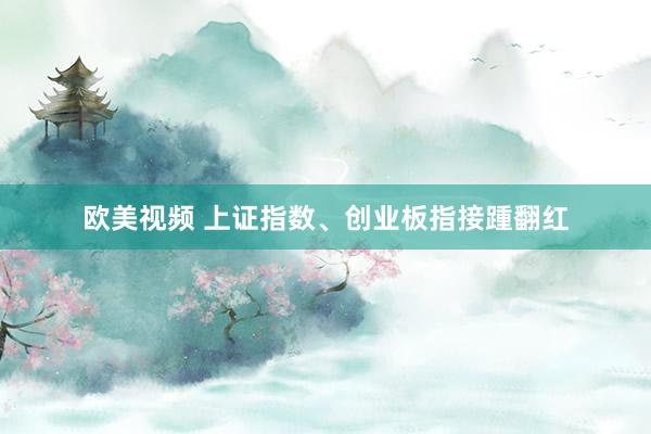 欧美视频 上证指数、创业板指接踵翻红