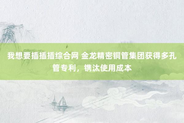 我想要插插插综合网 金龙精密铜管集团获得多孔管专利，镌汰使用成本