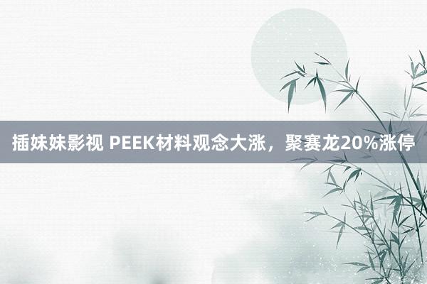 插妹妹影视 PEEK材料观念大涨，聚赛龙20%涨停