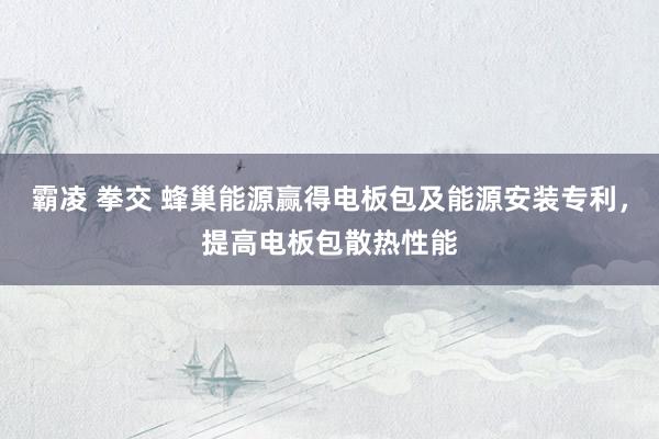霸凌 拳交 蜂巢能源赢得电板包及能源安装专利，提高电板包散热性能