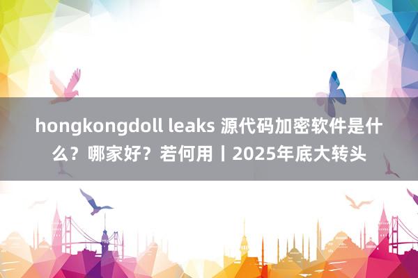 hongkongdoll leaks 源代码加密软件是什么？哪家好？若何用丨2025年底大转头