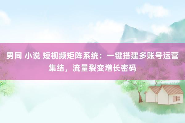 男同 小说 短视频矩阵系统：一键搭建多账号运营集结，流量裂变增长密码