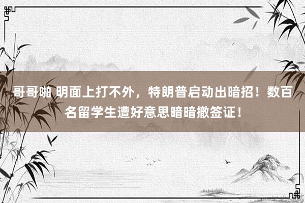 哥哥啪 明面上打不外，特朗普启动出暗招！数百名留学生遭好意思暗暗撤签证！