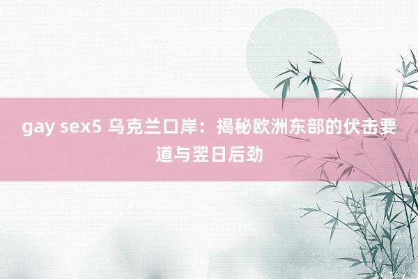 gay sex5 乌克兰口岸：揭秘欧洲东部的伏击要道与翌日后劲