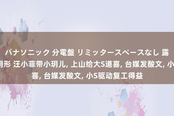パナソニック 分電盤 リミッタースペースなし 露出・半埋込両用形 汪小菲带小玥儿， 上山给大S道喜， 台媒发酸文， 小S驱动复工得益