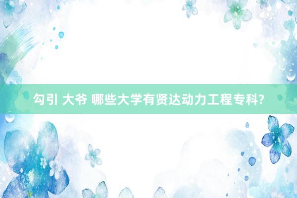 勾引 大爷 哪些大学有贤达动力工程专科?